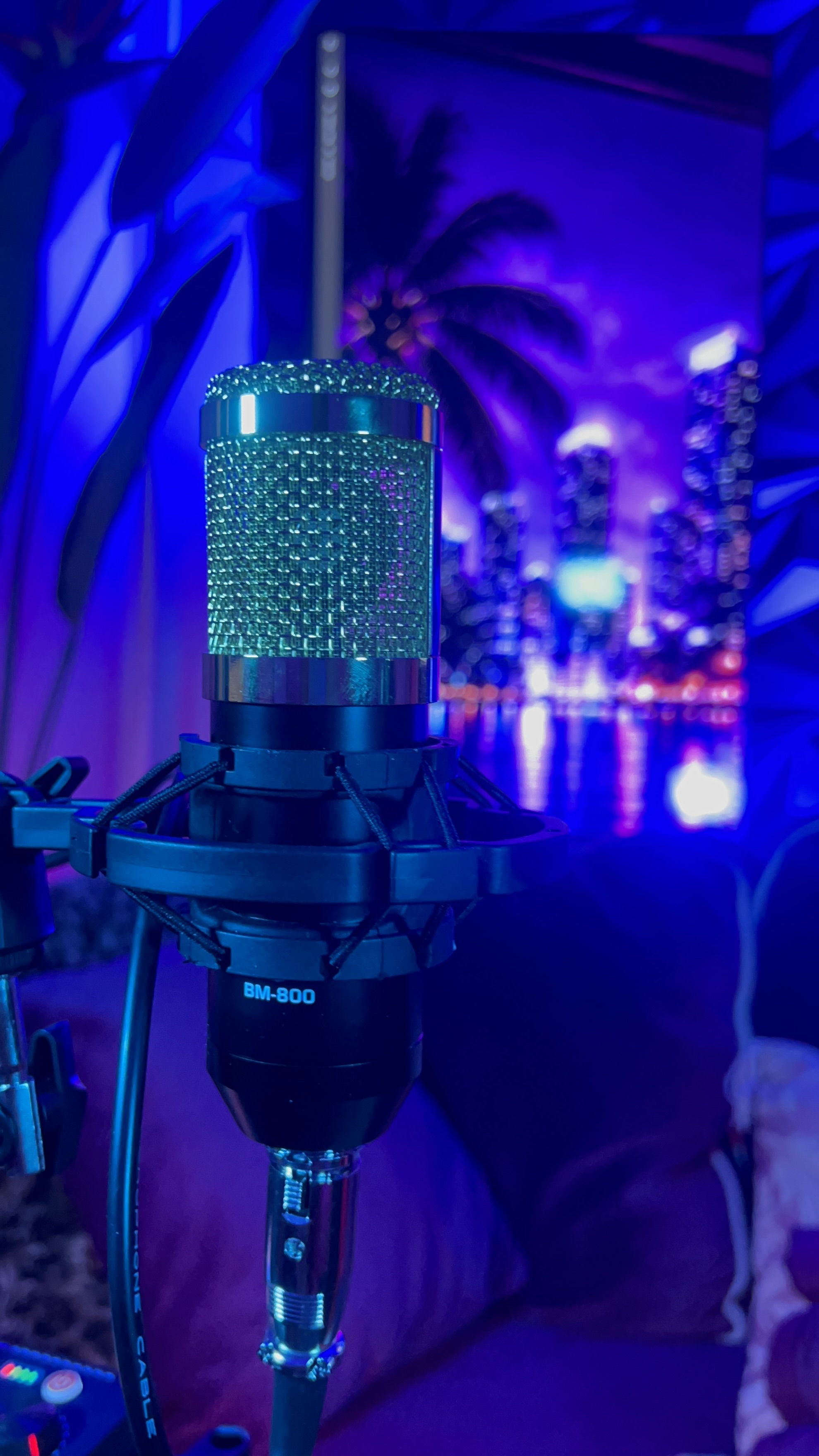 Miami Podcast Room example image